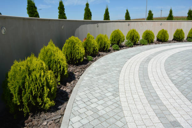 Best Local Driveway Pavers  in Hope, AR